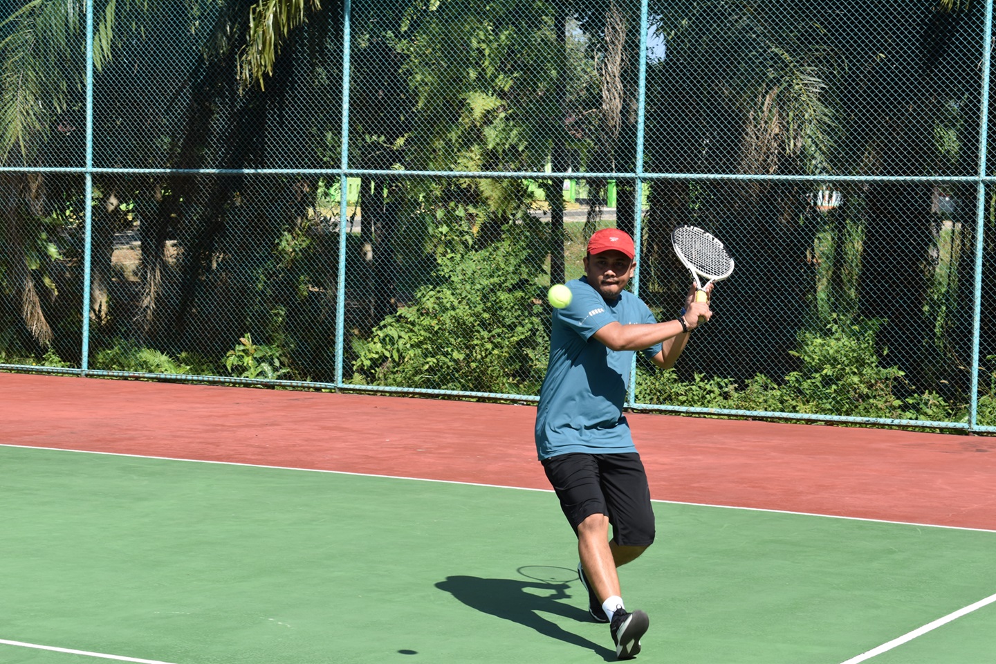 DSC_0099.jpg
