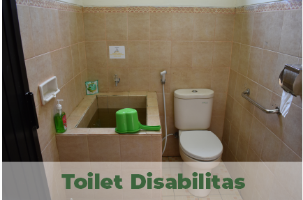 toilet disabilitas